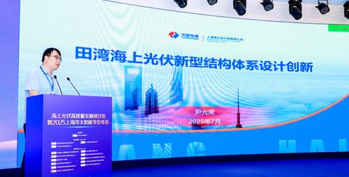 海上光伏高質(zhì)量發(fā)展研討會暨2025上海市太陽能學(xué)會年會圓滿舉行