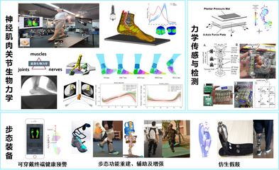 生物力學與康復工程中的新材料技術開發(fā)服務 重塑健康未來