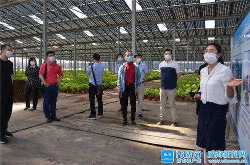 智慧大腦賦能產(chǎn)業(yè)升級 威海臨港區(qū)以新材料技術(shù)開發(fā)服務(wù)引領(lǐng)振興之路