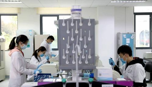 研究生被師哥師姐要求打雜，該說“不”嗎？——新材料技術(shù)開發(fā)中的成長智慧